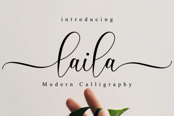 Laila Script: More Than Just a Pretty Font